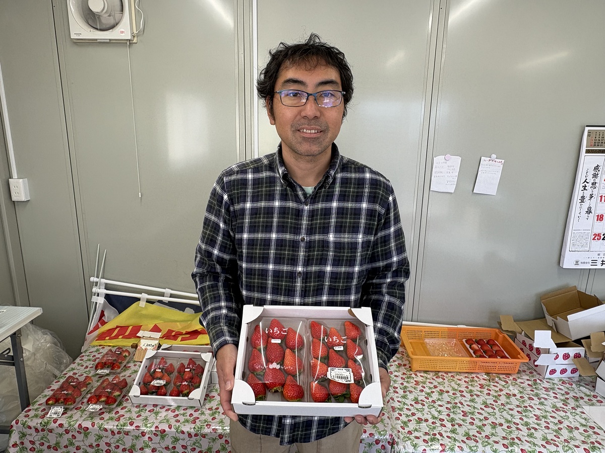 🍓いちご園の長谷川🍓営業中🙌✨